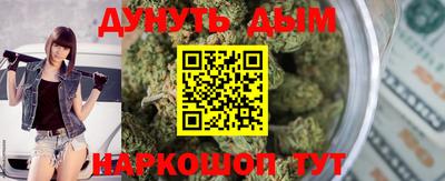 шишки Кимры