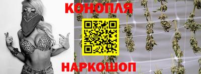 шишки Кимры