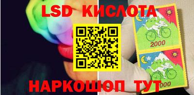 шишки Кимры