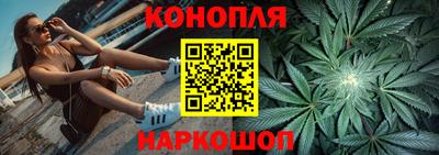 шишки Кимры
