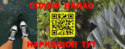 дживик Кингисепп