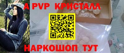 шишки Кимры