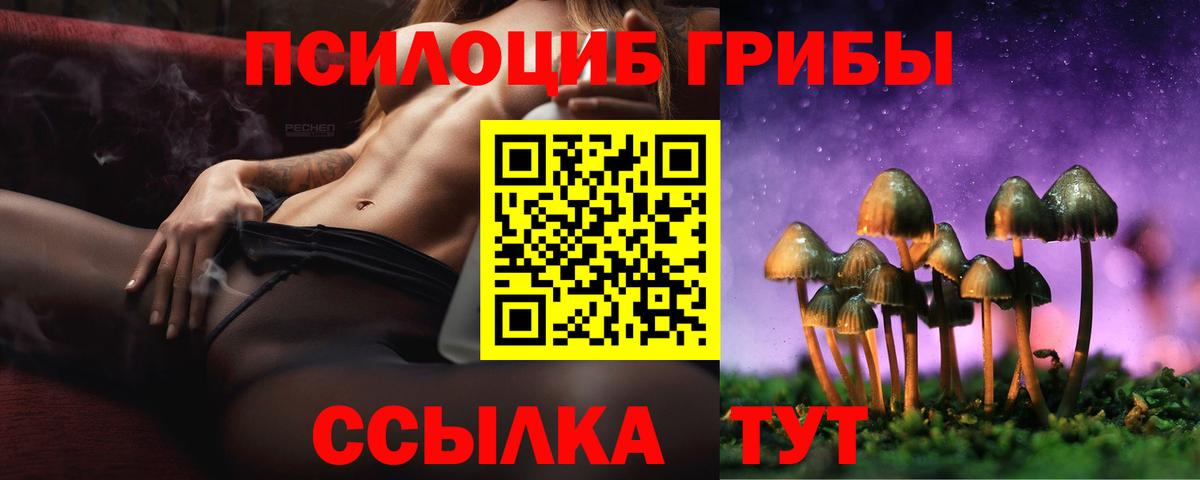 Псилоцибиновые грибы MAGIC MUSHROOMS Коряжма